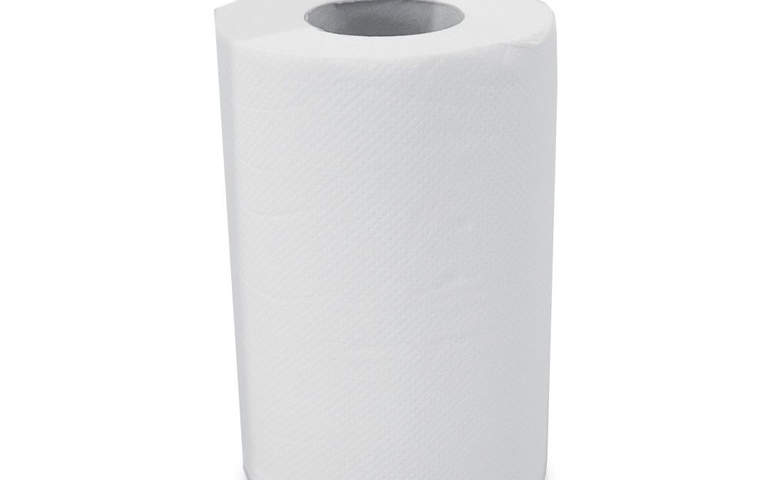 Ręcznik Biały Papierowy